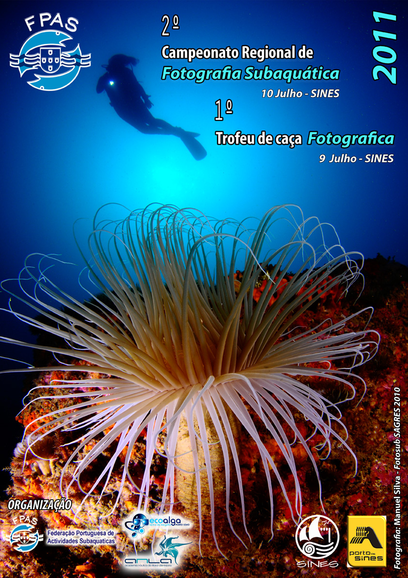 CARTAZ-2011-CONTINENTE1