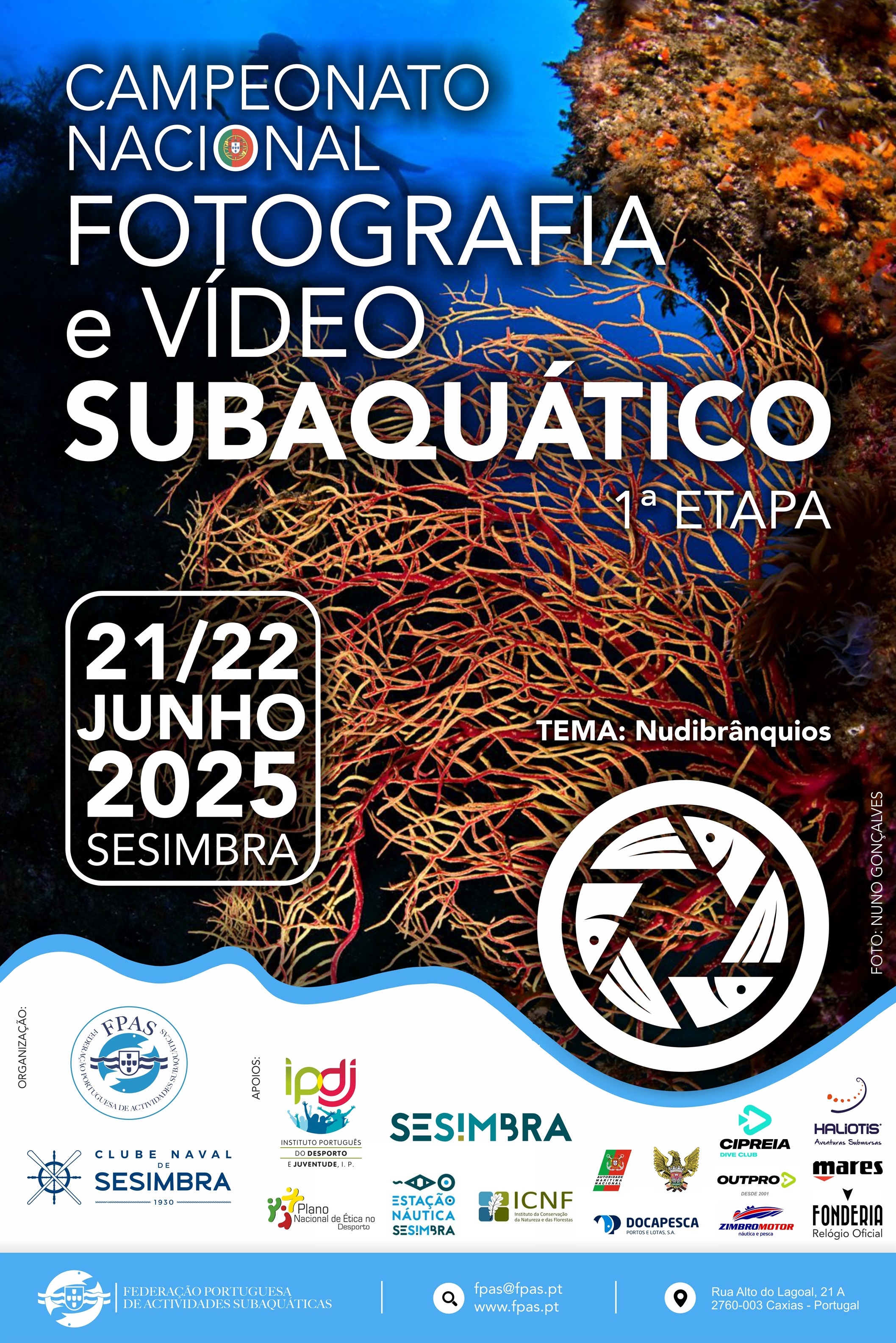 Cartaz1Etapa_CN_Audiovisuais_2025.jpg