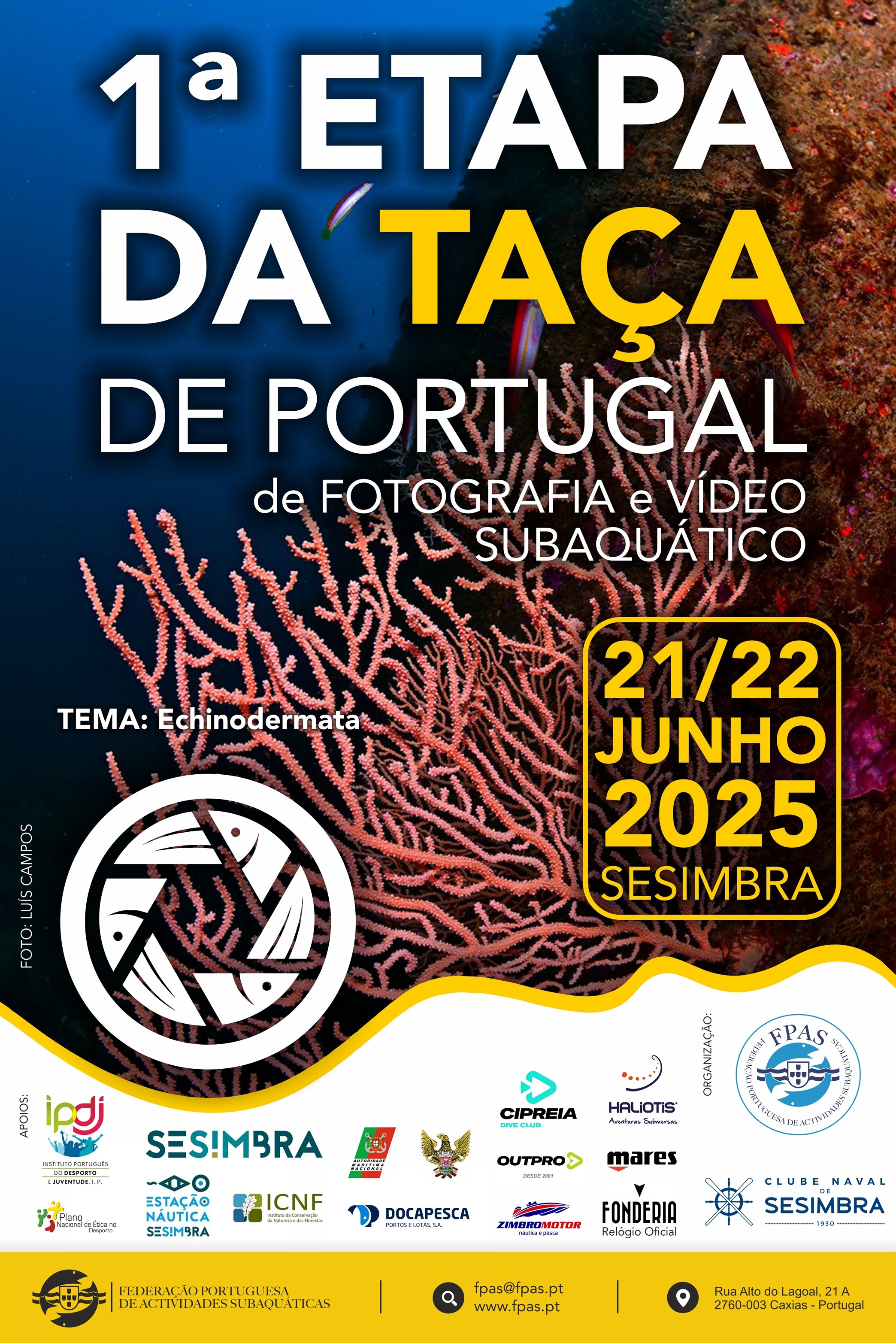 Cartaz1Etapa_TP_Audiovisuais_2025.jpg