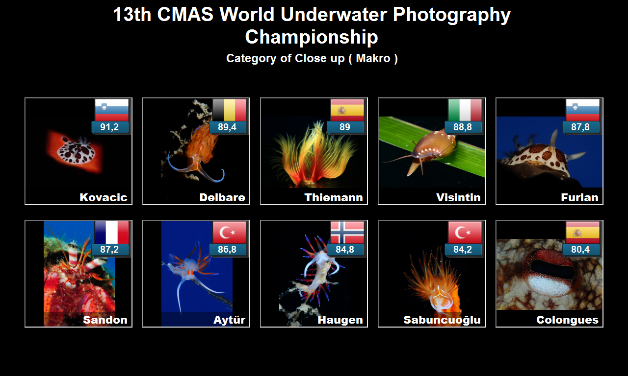 Category_of_Close_up__Makro_