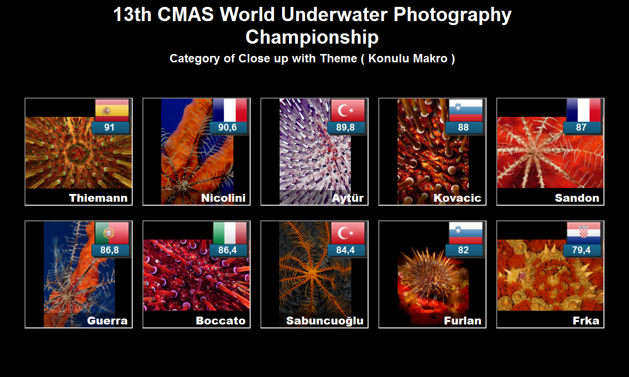 Category_of_Close_up_with_Theme__Konulu_Makro_
