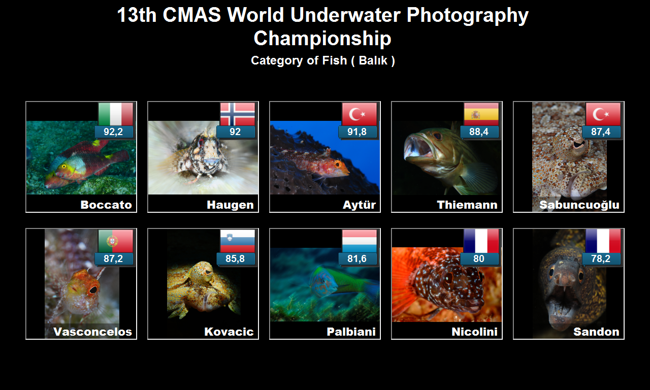 Category_of_Fish__Balk_