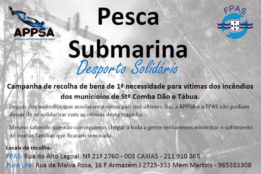 campanharecolhaincendiosappsa
