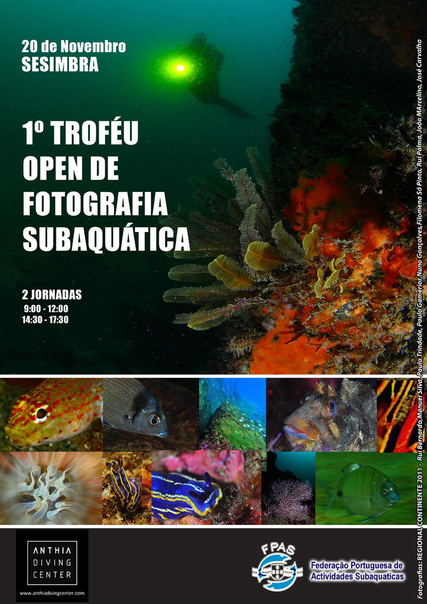 cartaz20111ocv2