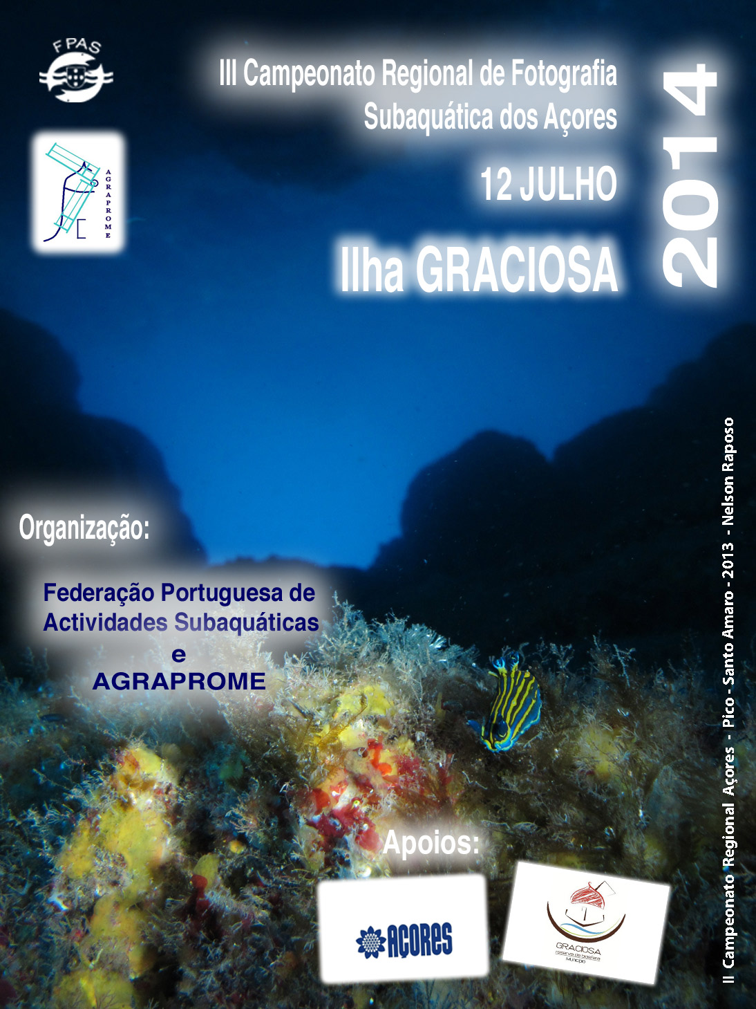 cartaz_regional_acores_2014