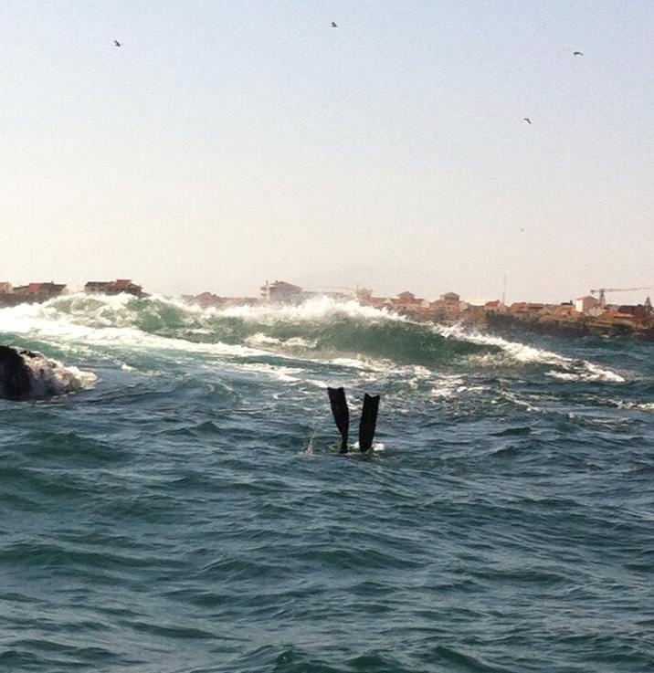 pesca_sub_2015